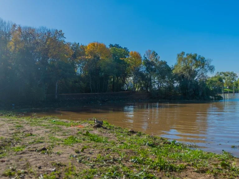 Reserva ecológica en el río Luján