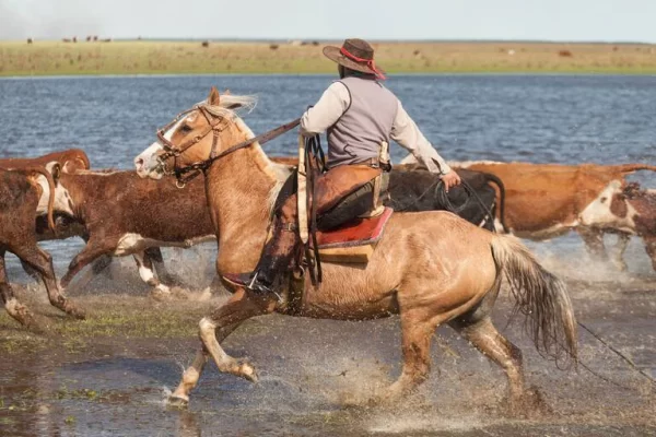 Día Nacional del Gaucho
