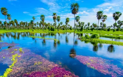 Lugares para Sacar Fotos Argentina copia