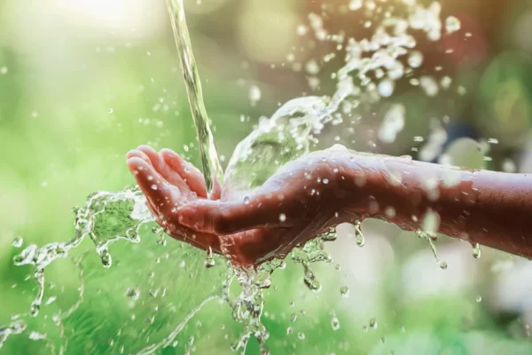 Día Mundial del Agua