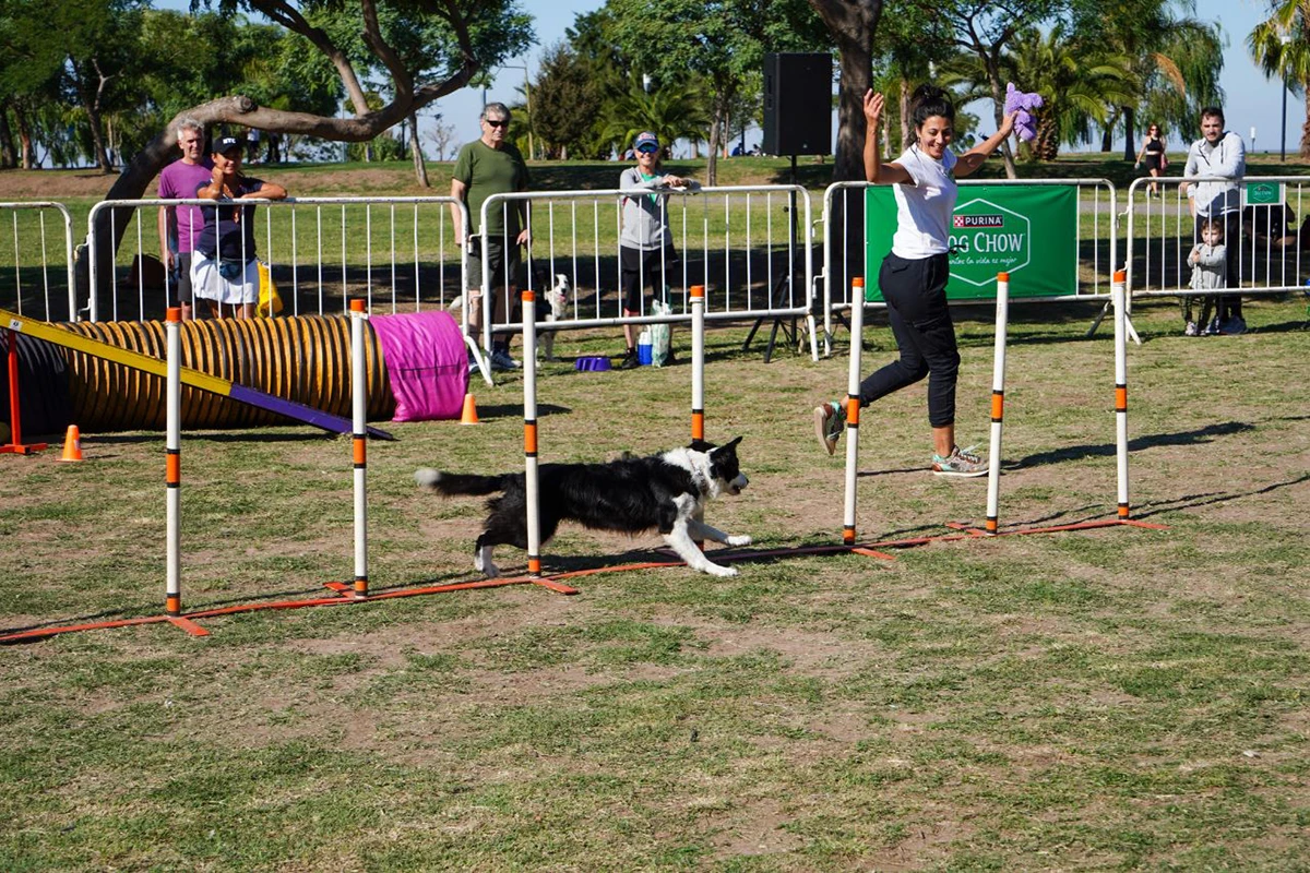 Dia del Animal Festival b