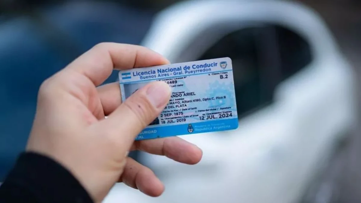 licencias de conducir robadas copia