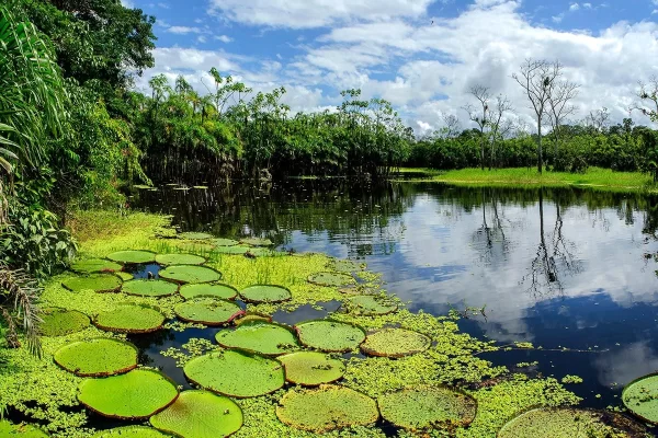 Biodiversidad