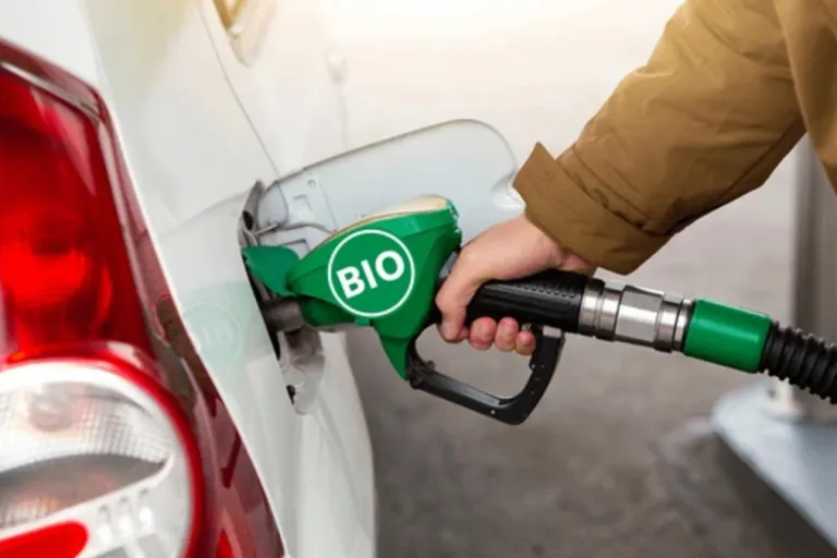 biodiesel y bioetanol