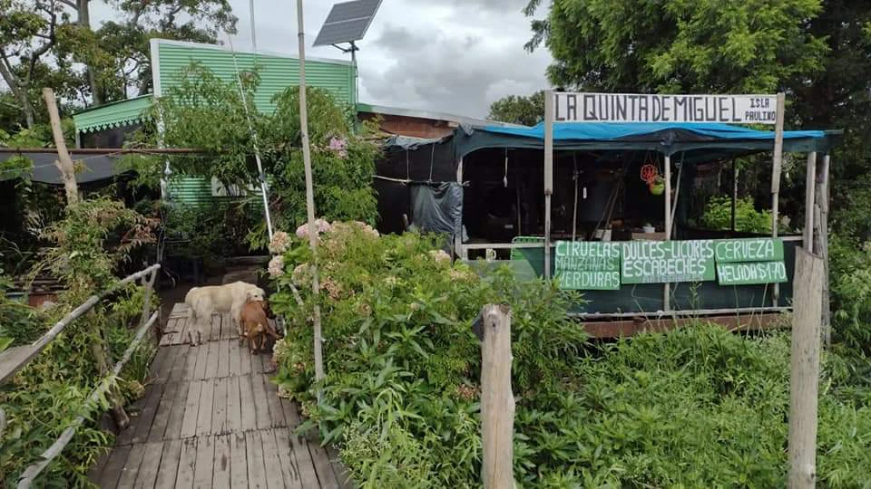 delta en buenos aires copia