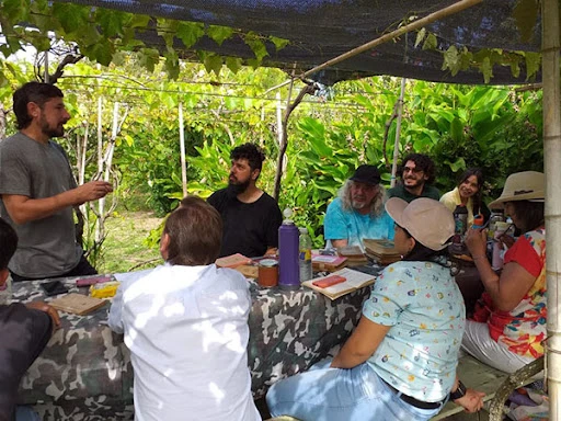 habitantes isla paulino copia