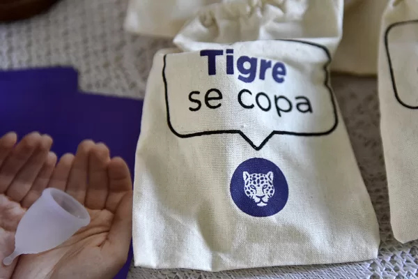 Nuevo encuentro del programa Tigre se COPA SOS BUENO LOCO EH!!!