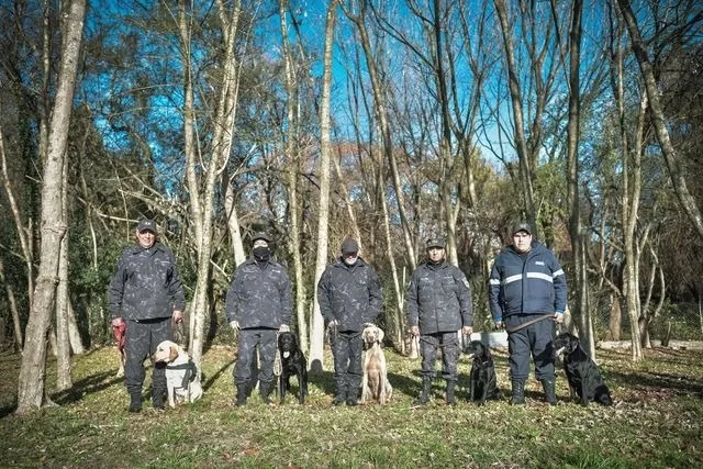 division canina