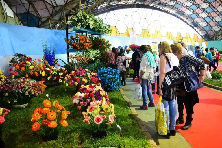 FIESTA NACIONAL DE LA FLOR