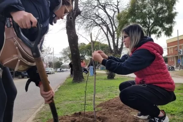 Forestaron espacios públicos de Baradero por el Día del Árbol dia del arbol baradero
