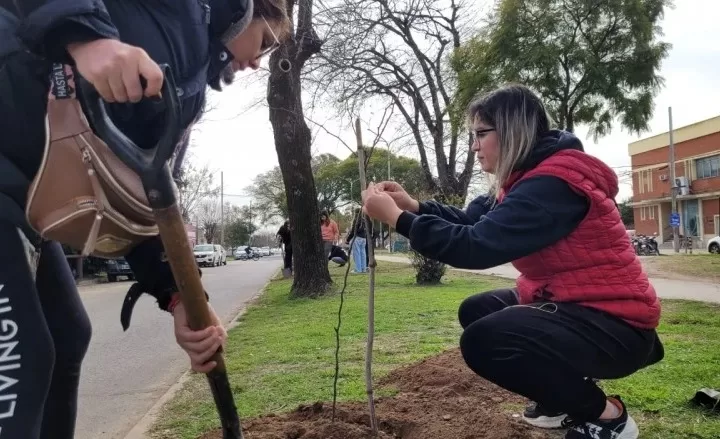 dia del arbol baradero