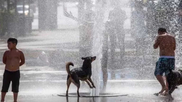 Ola de calor extremo 20250113 175045 0000