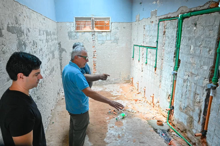 obras Tigre