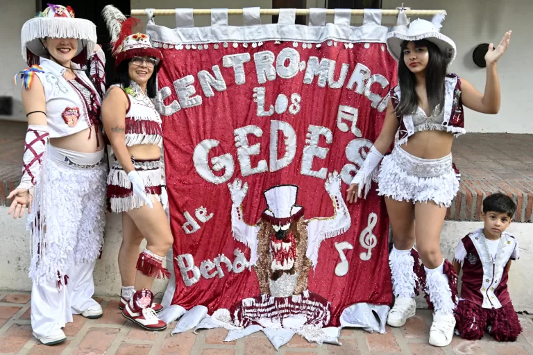carnaval tigre