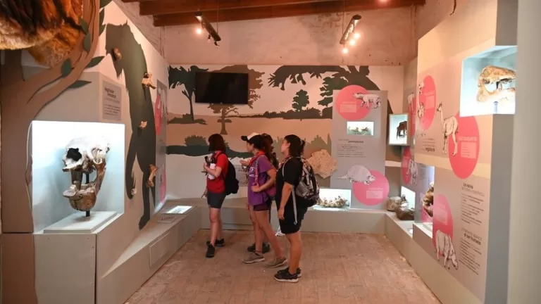Museo Casa Ameghino