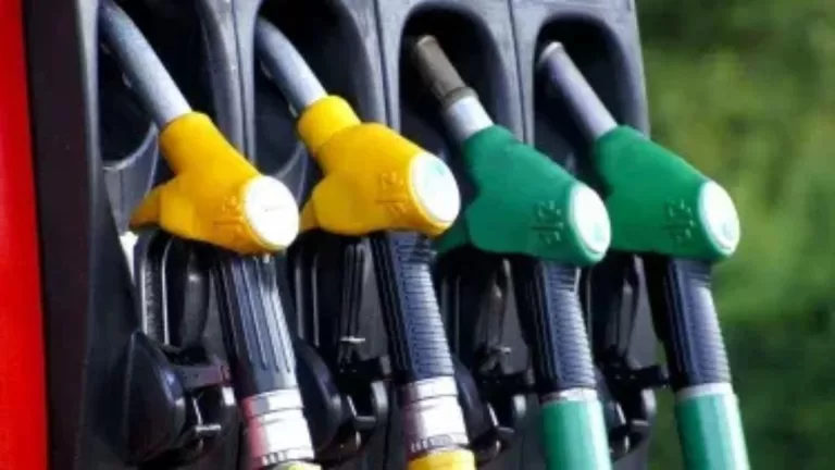 Combustibles 20250630 135300 0000