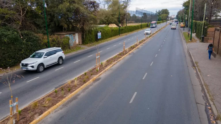 Avenida Marquez