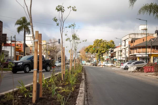 Nuevos arboles en San Isidro