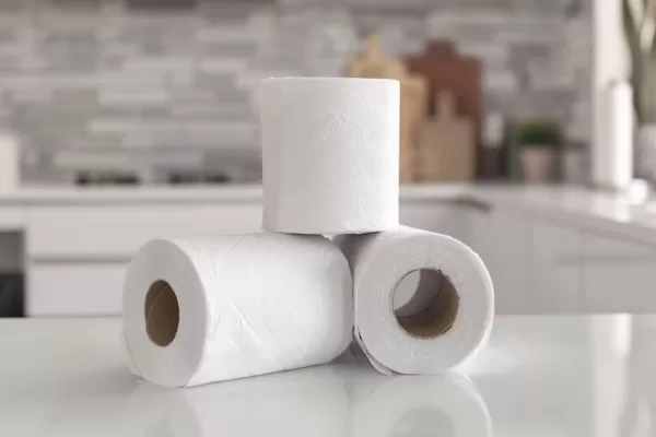 ¿Adiós al papel higiénico?: cuál es la nueva opción que ya es tendencia global Papel higienico