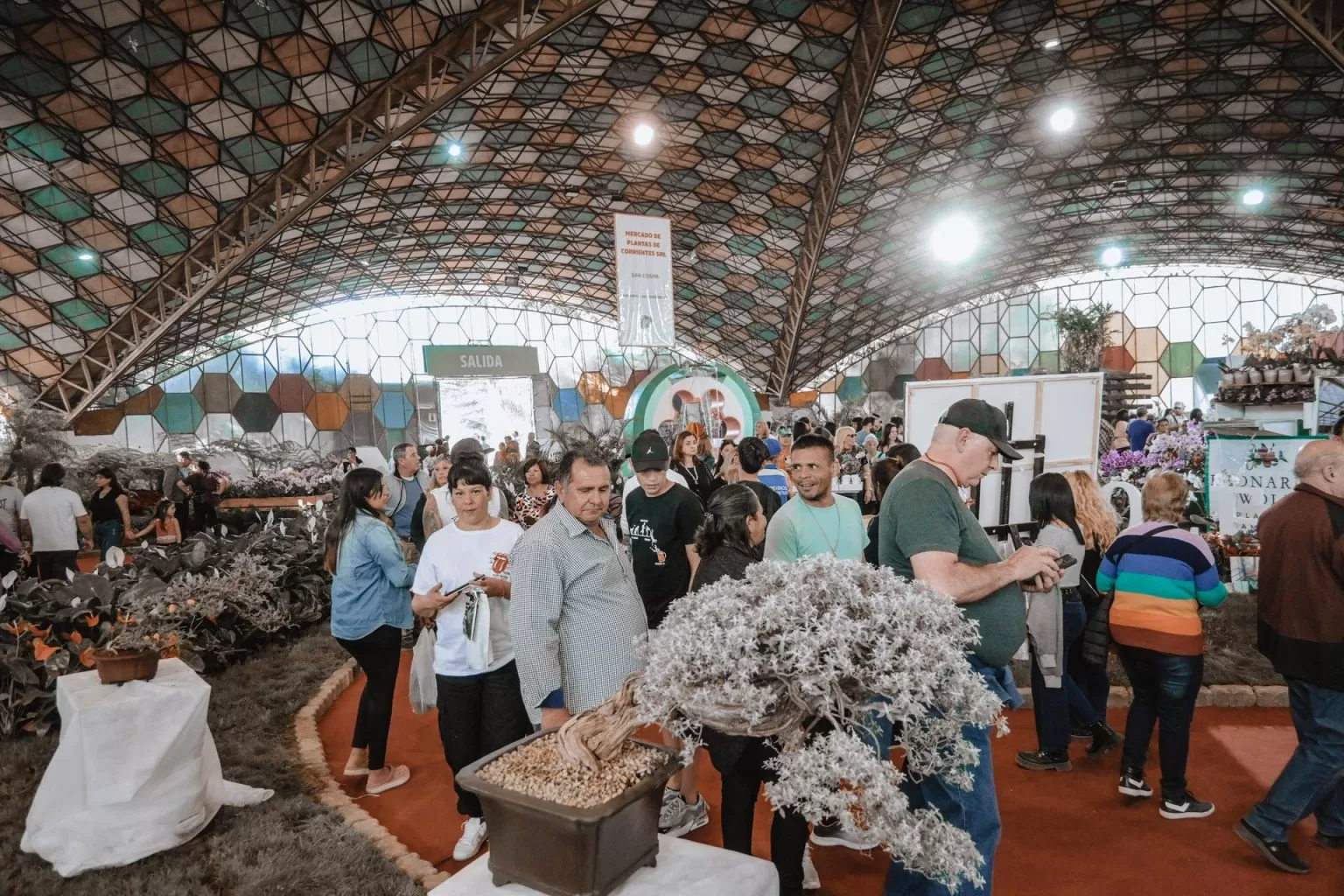 Fiesta Nacional de la Flor