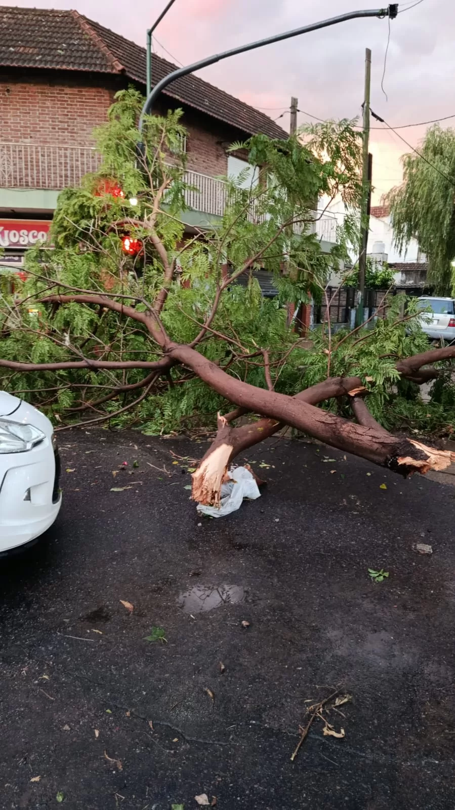 tormenta san isidro b