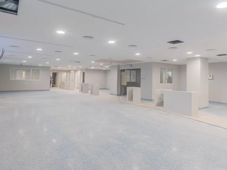 obra pediatria san fernando ultima etapa