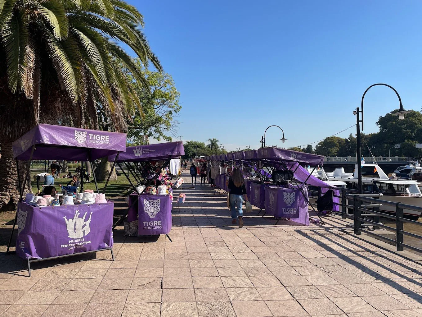 feria tigre