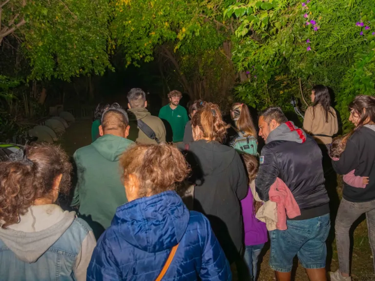 visita nocturna ecoparque san fernando abr2026