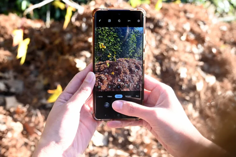 celular