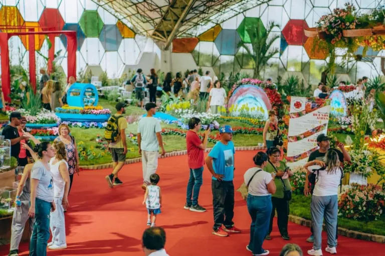 fiesta de la flor