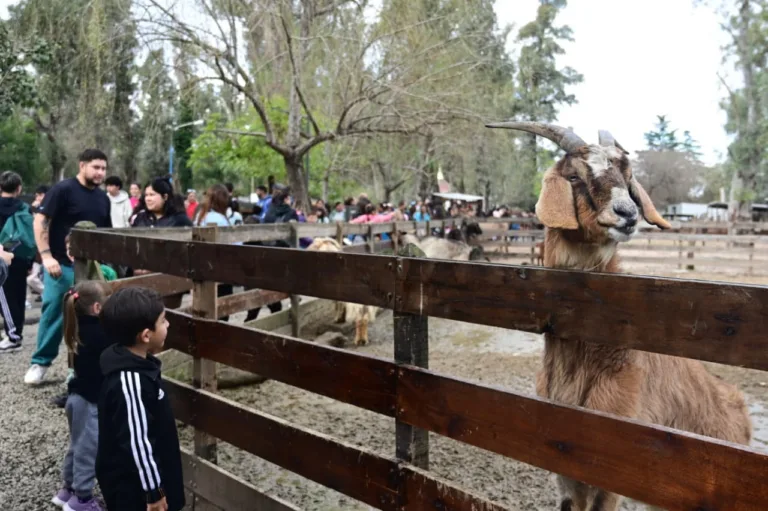 granja san benito