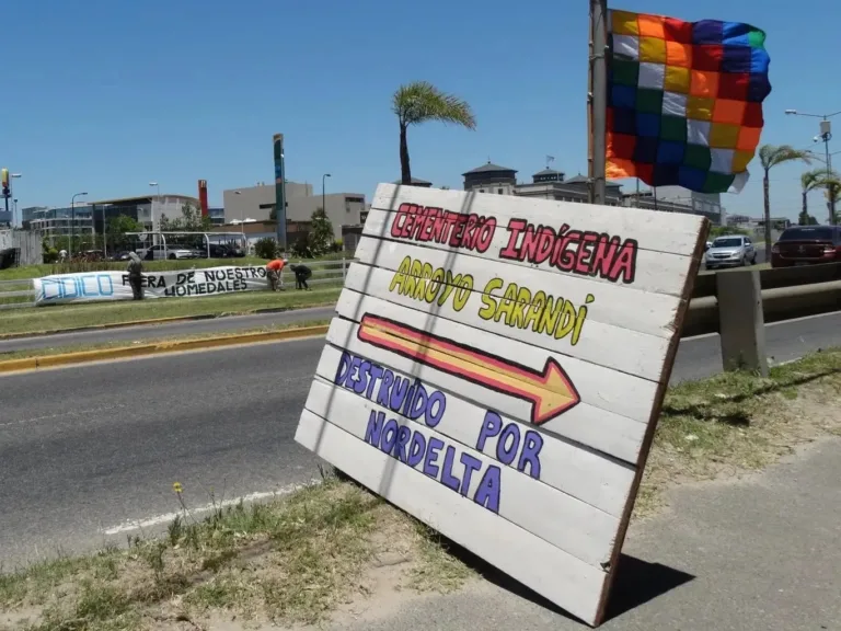 reclamo indigenas