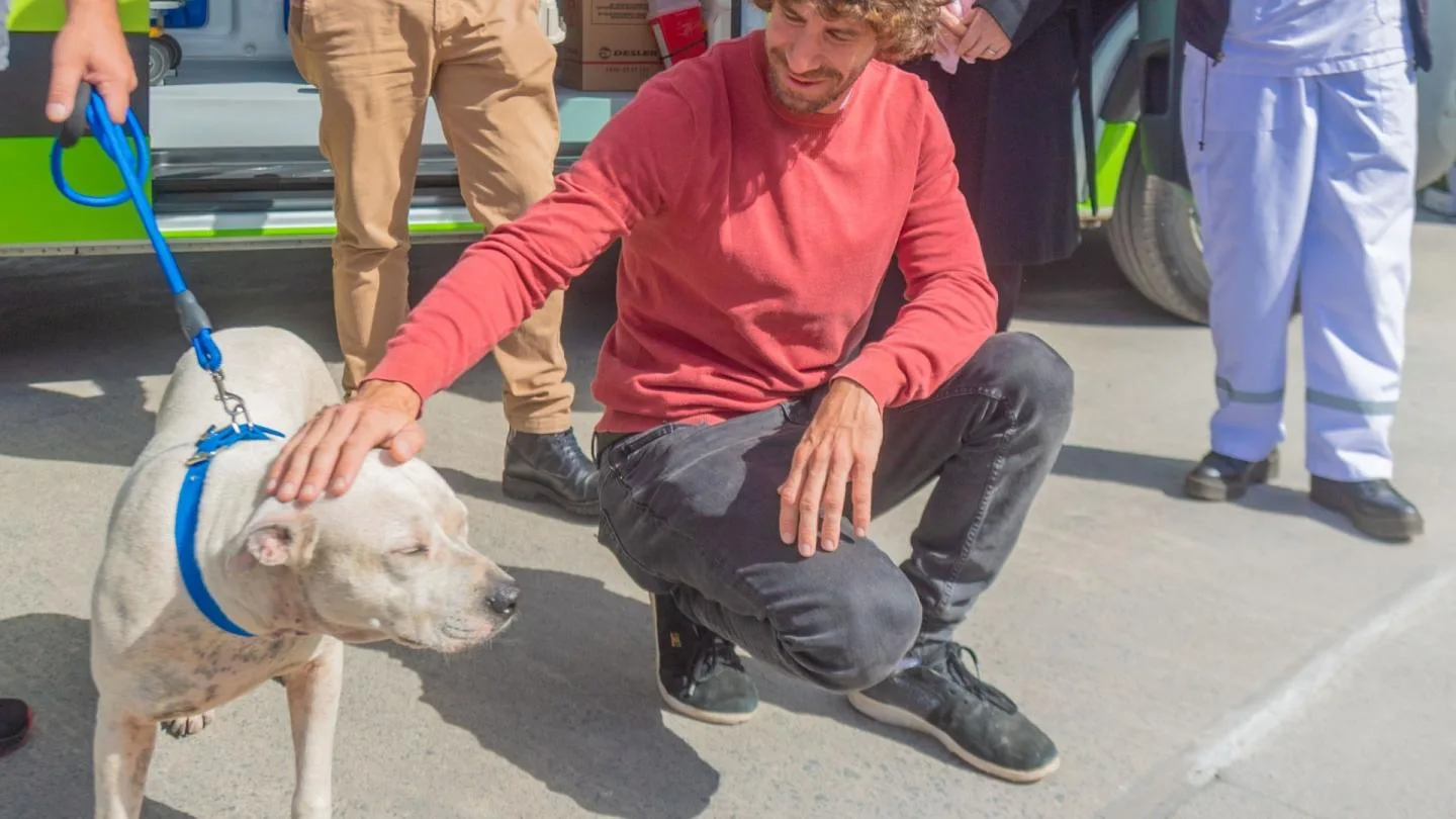 san fernando contra la venta de animales ago2026