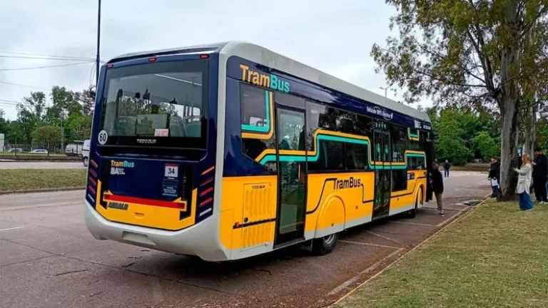 trambus