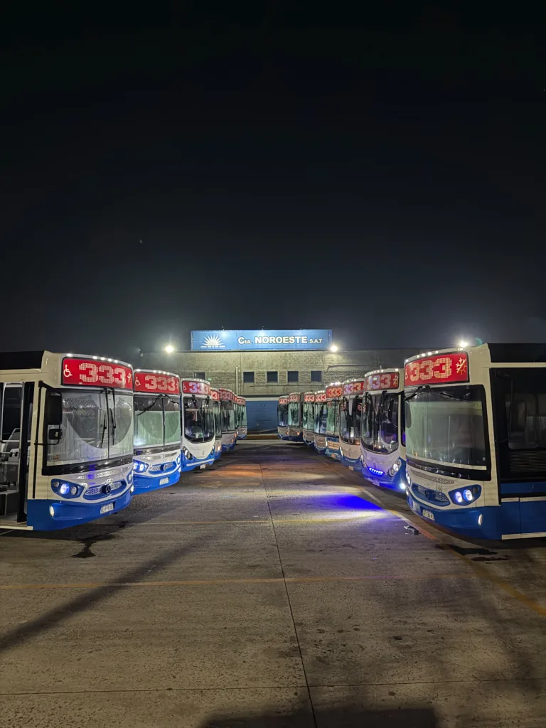 colectivo 333