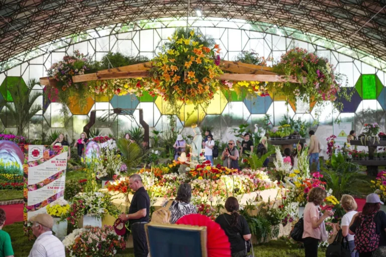 fiesta nacional de la flor