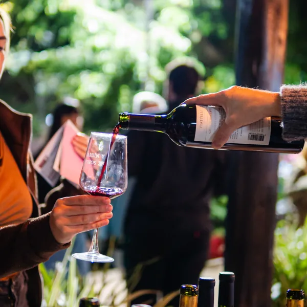 jardin y vinos